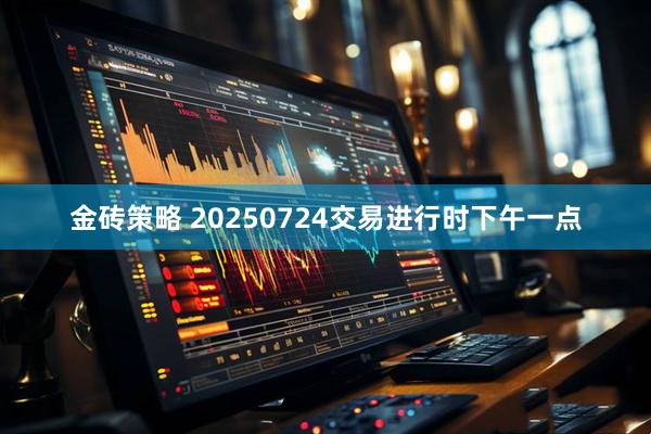 金砖策略 20250724交易进行时下午一点
